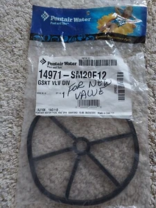 Pentair 14971-SM20E12 Pool Valve Gasket New Old Stock Free Shipping - Picture 1 of 1
