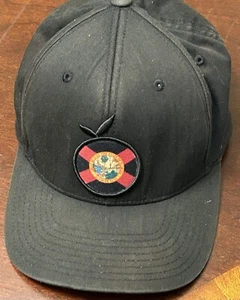 Florida Flagge Patch Herren schwarz Baseball Cap Flexfit - Bild 1 von 4
