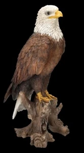 Adler Gartenfigur groß - Weißkopfseeadler - HotAnt Garten Deko Vogel Statue - Bild 1 von 8