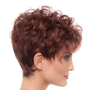 Fashion Women's Short Curly Wig Sexy Styling High-Quality Synthetic Cool Black - Picture 1 of 5