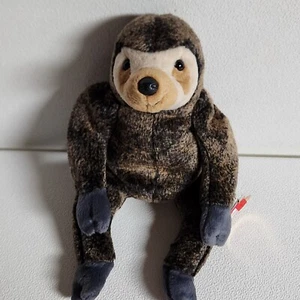 Slowpoke TY Beanie Baby The Sloth Plush Stuffed Animal Toy 1999 Pre-Owned w/ Tag - Picture 1 of 12