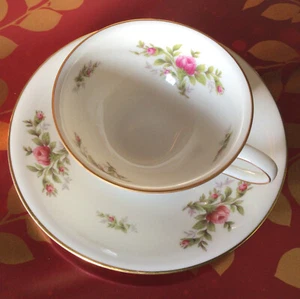 Rosenthal Selb-Plossberg Germany Winnifred Tasse und Untertasse - Bild 1 von 9