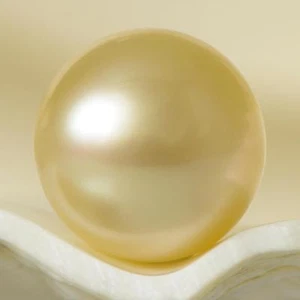 South Sea Pearl 10.52 mm Champagne Round 1.66 g un-drilled Indonesia - Picture 1 of 7
