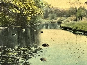 Lamprey River Near Philbrick Bridge Deerfield New Hampshire Postcard 1913 - Imagen 1 de 5