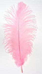 Pluma de avestruz rosa claro 16-20 pulgadas de largo por cada uno - Imagen 1 de 3