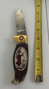 Franklin Mint Collector Folding Knife with Buck Photo on Handle - Picture 1 of 9