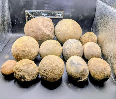 Unopened Lincoln Creek Formation Fossil Concretions PNW- "Crack Your Own Fossil" - Image 1 of 4