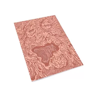 Evil Dead - BOOK OF THE DEAD Notebook! Bruce Campbell sam raimi, horror props - Imagen 1 de 1