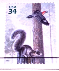 Longleaf Pine Forest - Fox Squirrel - 2002 22kt Gold Replica Stamps - SEE BELOW - Picture 1 of 4
