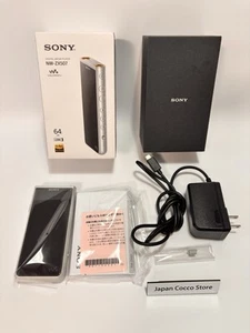 ¡1 día! Reproductor de audio Sony Walkman 64 GB Hi-Res ZX NUEVO-ZX507 plateado idioma inglés - Imagen 1 de 11