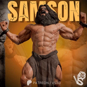 Samson - Fan Art - Kit de impresión 3D - Imagen 1 de 8