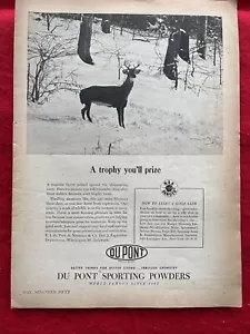 Vintage 1950 Du Pont Sporting Powders Print Ad Munition Gun Powder - Bild 1 von 7