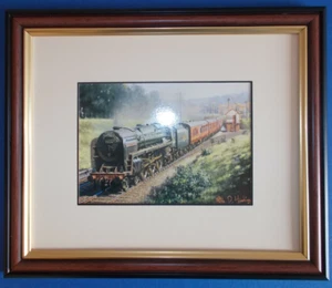 BRITANNIA CLASS LOCOMOTIVES - THE PINES EXPRESS - Picture 1 of 1