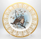 Vintage Edward Marshall Boehm Owl Plate Collection - Saw-Whet Owl