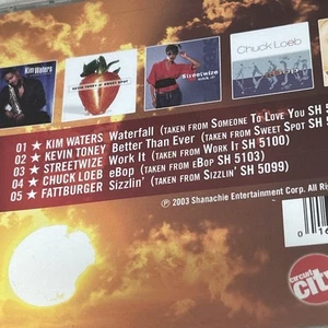 CIRCUIT CITY'S SMOOTH END TO SUMMER AUDIO CD VARIOUS - Picture 1 of 2