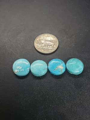 内华达壁虎绿松石凸圆形 — 第 1/2 张图片