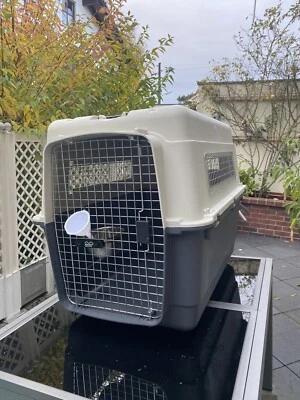 hunde flugbox - Bild 1 von 4