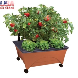 Self-Watering Raised Bed Grow Box Mobile Planter W/ Casters Vegetables New - Picture 1 of 7