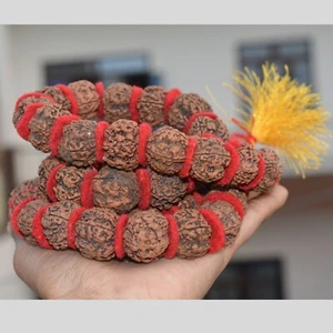 5 Mukhi Rudraksha Kantha Mala – Perline Nepal 20mm, Certificate in Laboratorio per Puja - Foto 1 di 8