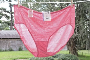 VINTAGE PINK POLY/SPANDEX SECRET TREASURES BRIEF LACE GRANNY PANTIES SISSY SZ 16 - Picture 1 of 10