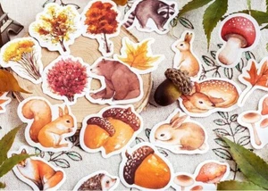 Autumn 46 Pcs Sticker Pack Woodland Scrapbook Planner Journal Nature Crafts - Picture 1 of 9