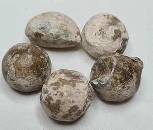 FRANKREICH Österreich NAPOLEON 5x Musketenball Schlachtfeld Mitteleuropa AUTHENTISCH #M4a - Bild 1 von 5