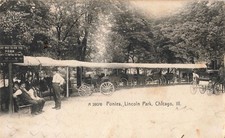 Ponies Lincoln Park Chicago Illinois IL 1906 Postcard