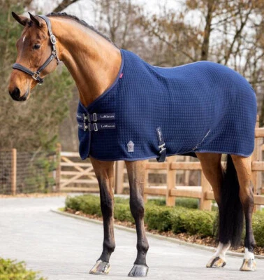 LeMieux Arika Clima-Tek Teppich Dochtpfosten Übung Tech Kühler Marineblau/Grau/Burgund