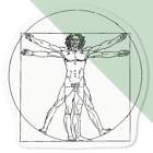 'Vitruvian Man' Clear Decal Stickers (DC037651)