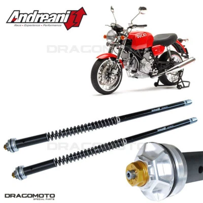 DUCATI GT 1000 2006-2012 cartuccia ANDREANI 105/D07E MISANO EVO Foto 1 de 4