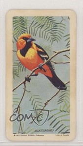 1964 Brooke Bond Red Rose Tropical Birds Tea American Blue Backs #44 1md