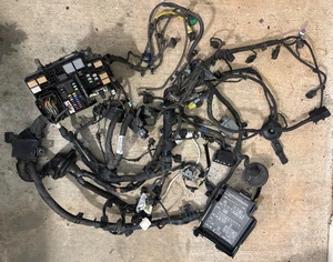 2017-2018 Hyundai Elantra Engine Wiring Harness with Fuse Box OEM - Picture 1 of 6