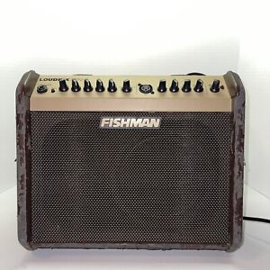 Fishman Loudbox Mini PRO-LBX-500 Acoustic Guitar Amplifier. ALST