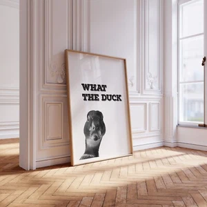 What The Duck Print, Black & White Quote Poster, Trendy Art Funny Humour 9098 - Picture 1 of 2