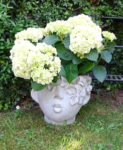 XL PflanzKopf"Kussmund"Garten Büste BlumenTopf Übertopf Zement Pflanztopf - Bild 1 von 3