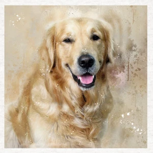 Perro - Golden Retriever - Paneles artesanales de tela en 100 % algodón o poliéster - Imagen 1 de 3
