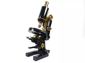 Microscopio con manico a brocca Carl Zeiss Jena. Germania, 1910 circa - Foto 1 di 24
