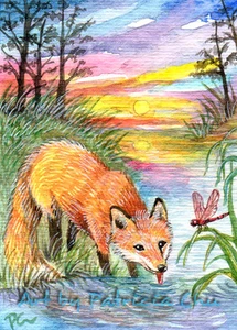 ACEO LE Art Card Print 2.5x3.5" Fox Drinking By The Riverside Art by Patricia - Bild 1 von 1