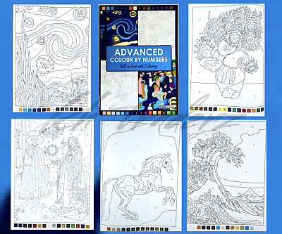 Colouring Book Advanced Colour By Numbers Adult Colouring Book Relaxing Activity • 3.24£