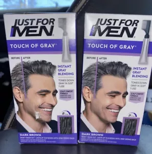 Just For Men Pettine Colore Capelli T-45 Marrone Scuro Tocco Grigio Copertura Lotto di 2 - Foto 1 di 5