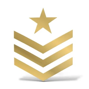 Sticker STELLA MILITARE US ARMY Adesivo Decal Casco Auto Moto Camper Custom Jeep - Foto 1 di 18