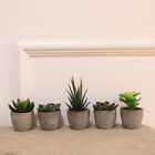 Artificial Succulent Plants Set Of 5 With Gray Pots   Vintage Home Decor