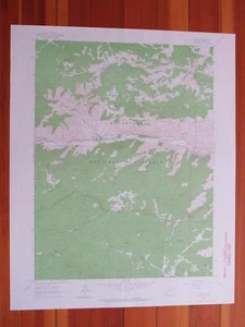 Rústico Colorado 1965 original vintage mapa de ratón del USGS - Imagen 1 de 1