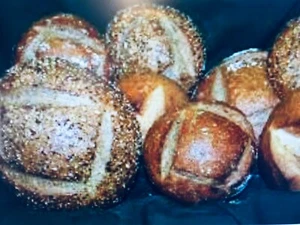 Bavarian "Black Death" Sourdough Starter, 400 Year-Old History ACTIVE SOUR BD - Picture 1 of 9