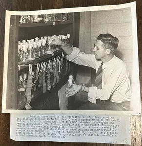Dr. Norman E. Borlaug Portrait Photograph Penicillin Antibiotic 1944 Nobel Prize - Picture 1 of 10