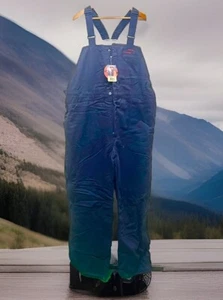 Bulwark FR® 2112 New Mens XL RG Lined THERMAL Bib Overall Blue Duck BLC8NV8 - Picture 1 of 24