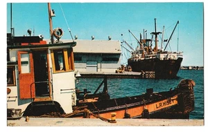 PORT EVERGLADES Largest Commercial Oil Store Fort Lauderdale Florida FL Postcard - Picture 1 of 2