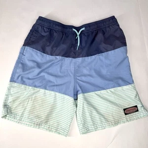 Vineyard Vines Swim Trunks Boys Large Size 16 Tropical Bright Stripes Mint Blue - Picture 1 of 7