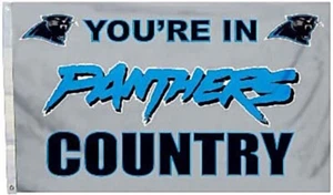 Carolina Panthers 3' x 5' NFL Licensed Country Flag - Free Shipping - Picture 1 of 1