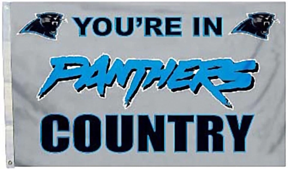 Carolina Panthers 3' x 5' bandera de país con licencia NFL - envío gratuito  Foto 1 de 1